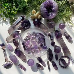 $1 live broadcast link